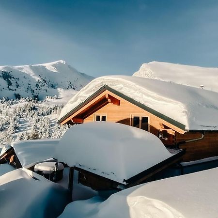 Heidi Chalets Falkert Heidialm - Chalets Bergwinter Patergassen Exterior foto