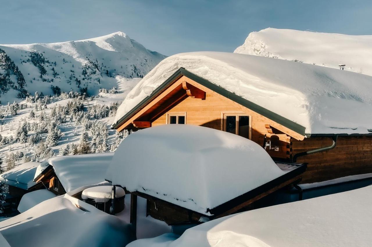 Heidi Chalets Falkert Heidialm - Chalets Bergwinter Patergassen Exterior foto