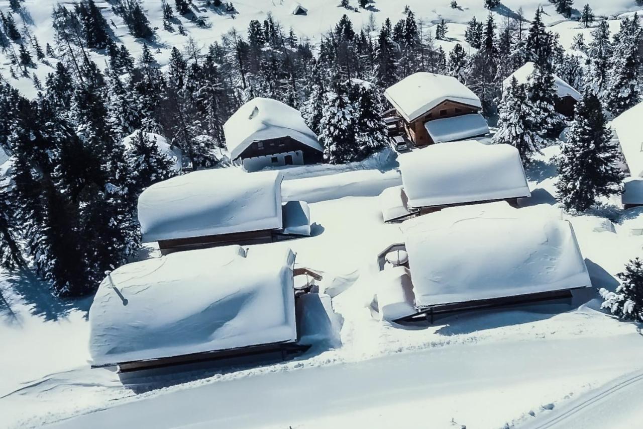 Heidi Chalets Falkert Heidialm - Chalets Bergwinter Patergassen Exterior foto
