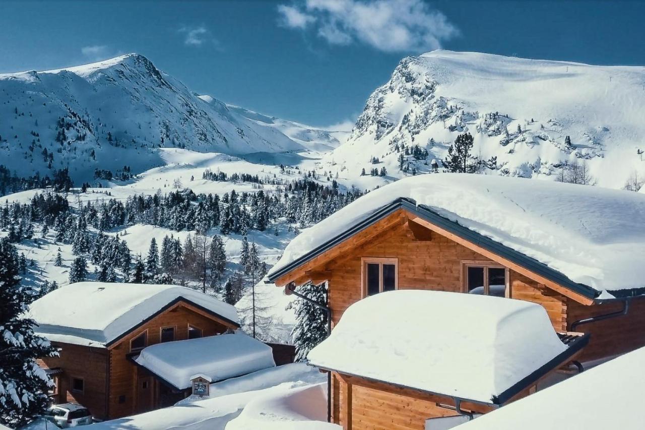 Heidi Chalets Falkert Heidialm - Chalets Bergwinter Patergassen Exterior foto